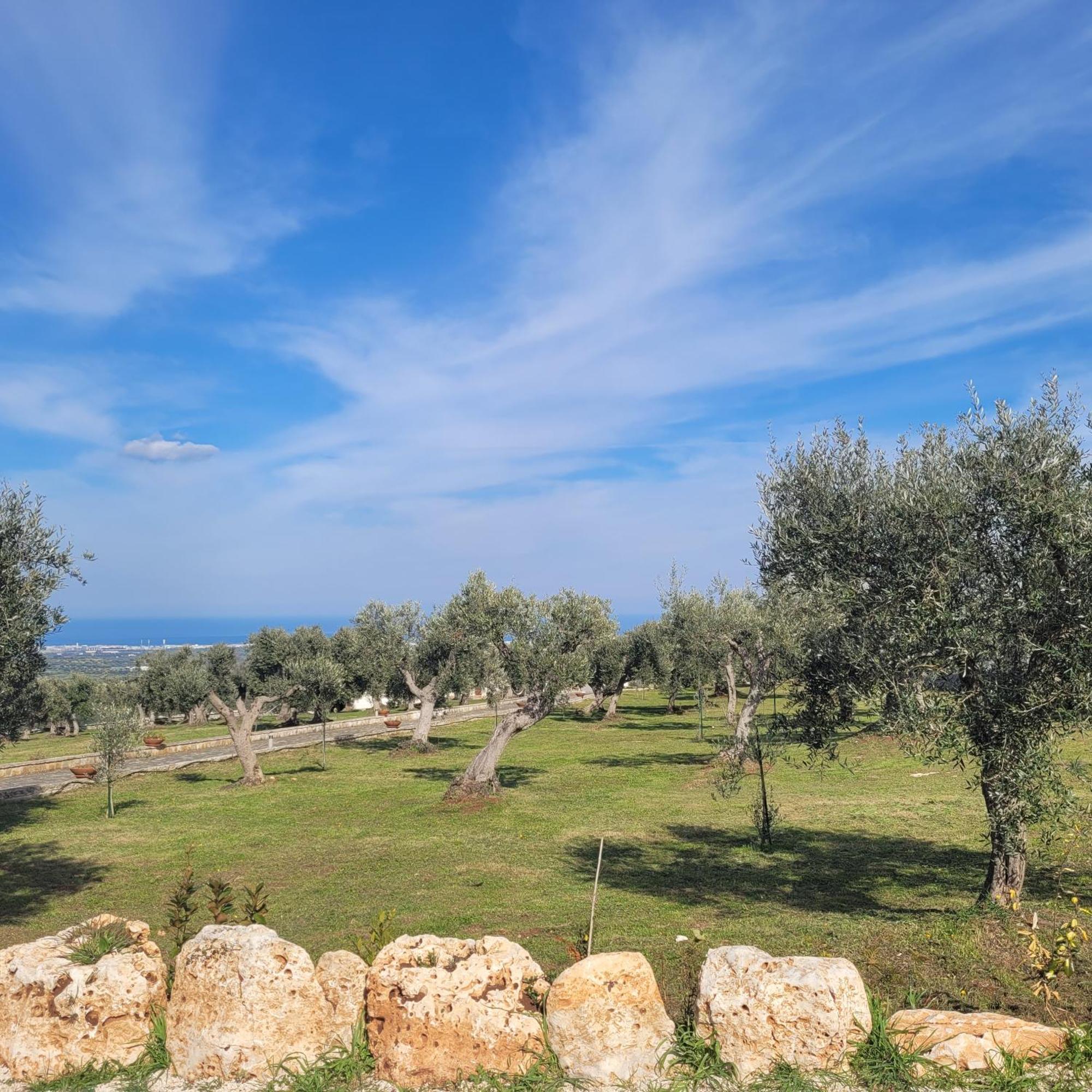 Terracielomare Apartments Monopoli Εξωτερικό φωτογραφία